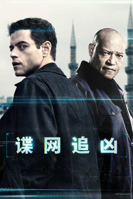 谍网追凶