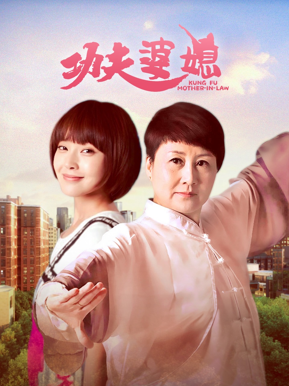 功夫婆媳